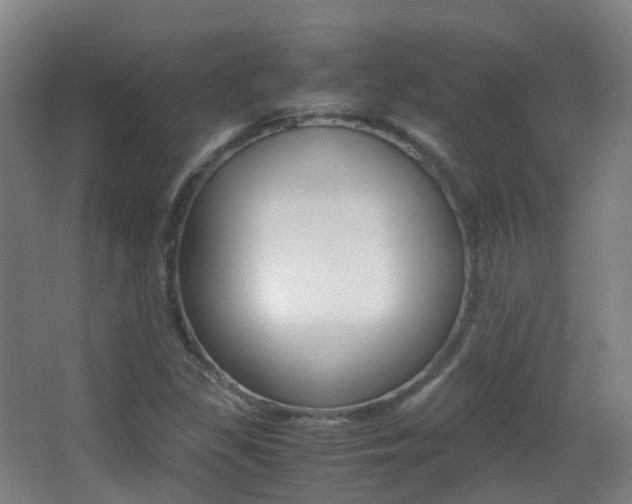 X0000062931309200601131103