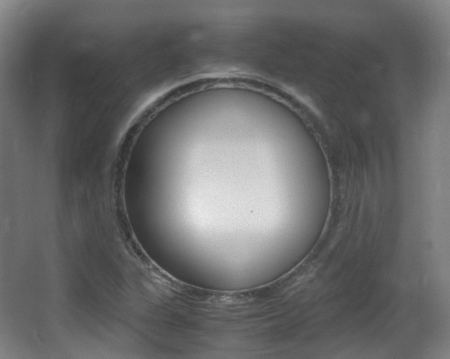 X0000062931311200601131103