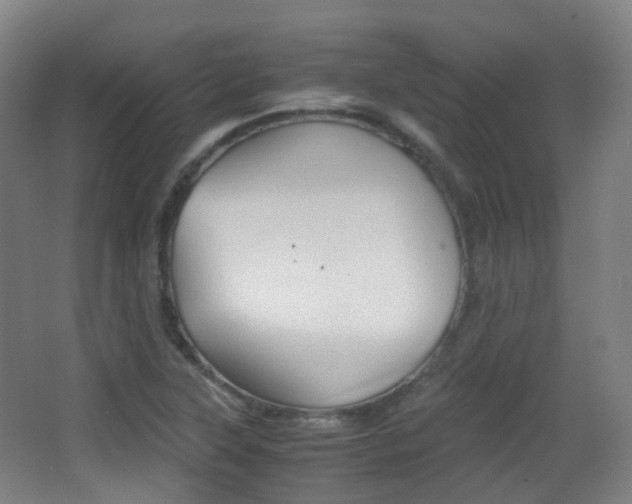 X0000062931315200601131103
