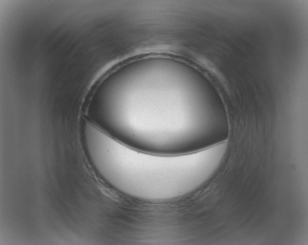 X0000062931316200601131103