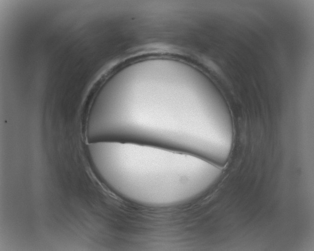 X0000062931318200601131104