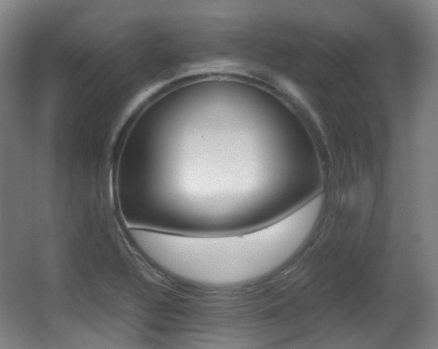 X0000062931320200601131104