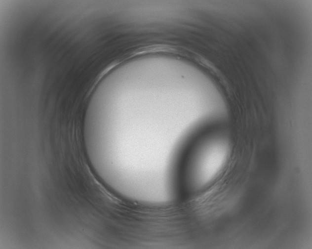 X0000062931321200601131104