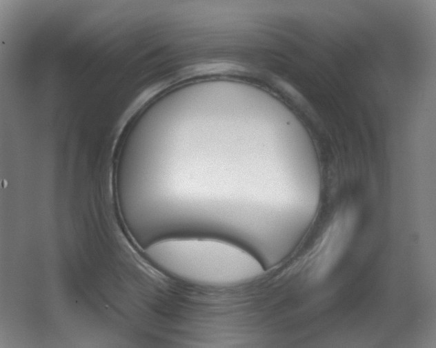X0000062931322200601131104