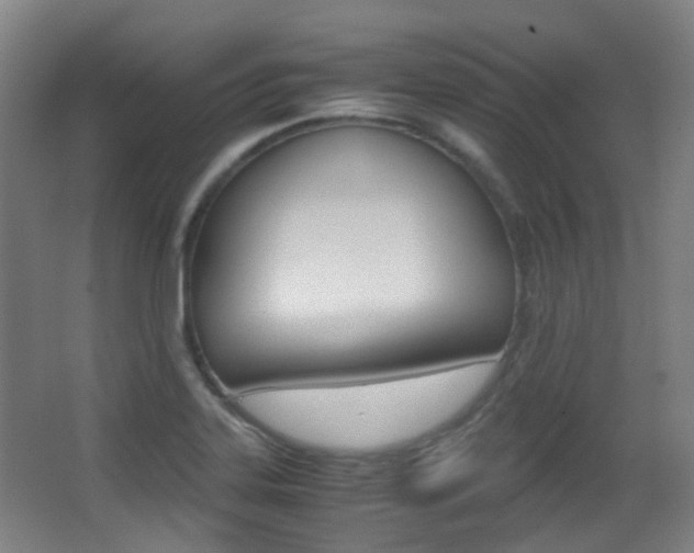 X0000062931323200601131104