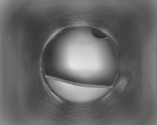 X0000062931325200601131104