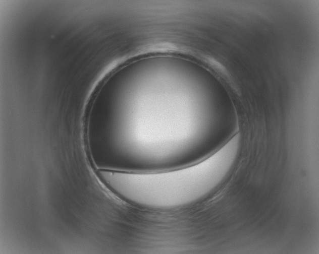 X0000062931326200601131104