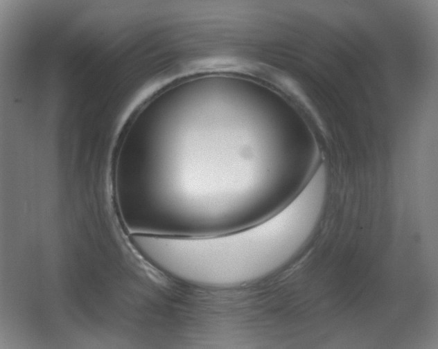 X0000062931328200601131104