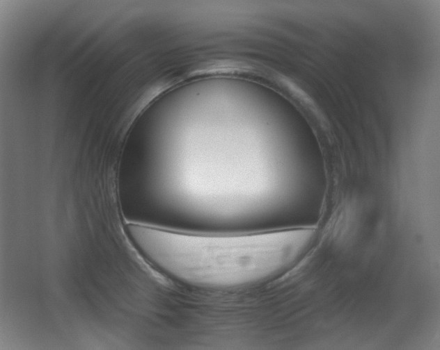 X0000062931329200601131104