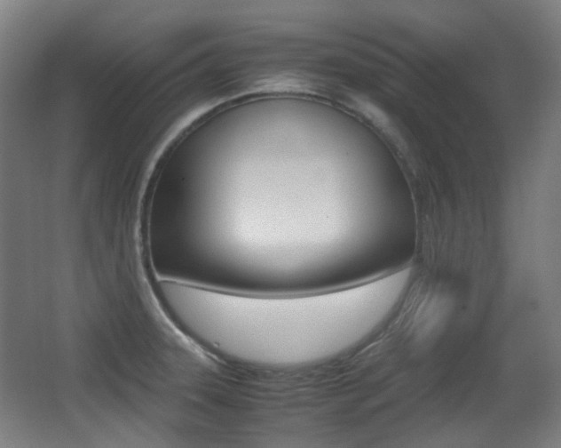 X0000062931331200601131104