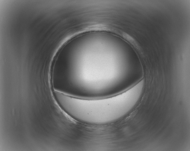 X0000062931334200601131104