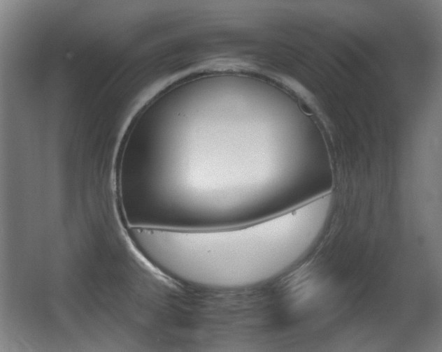 X0000062931335200601131104