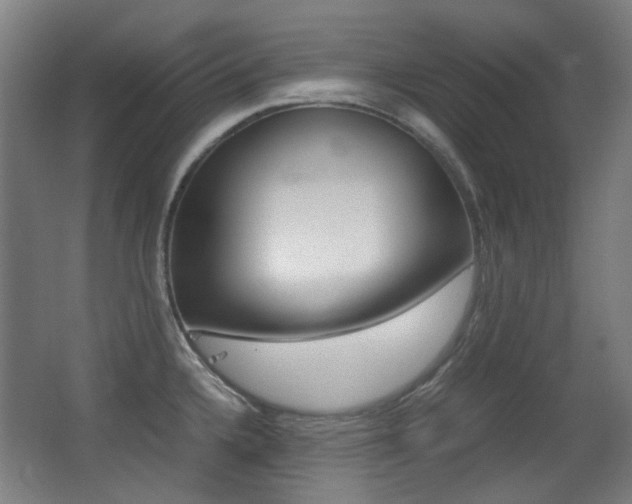X0000062931336200601131104
