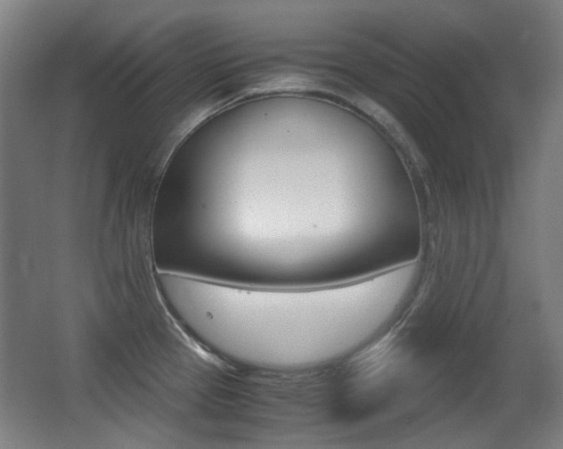 X0000062931337200601131104