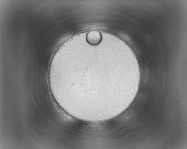X0000062931338200601131104