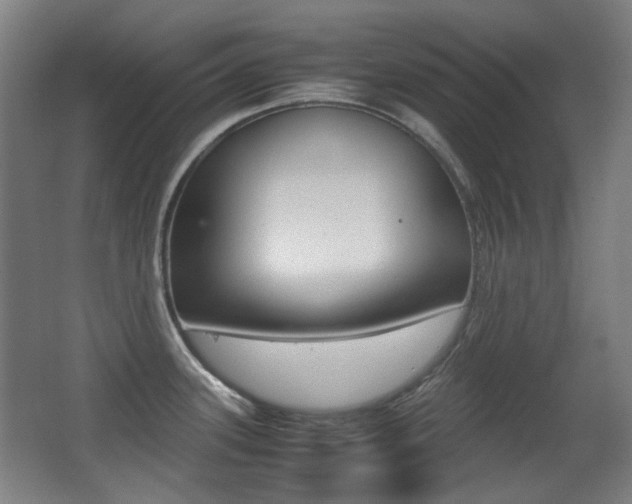 X0000062931339200601131104