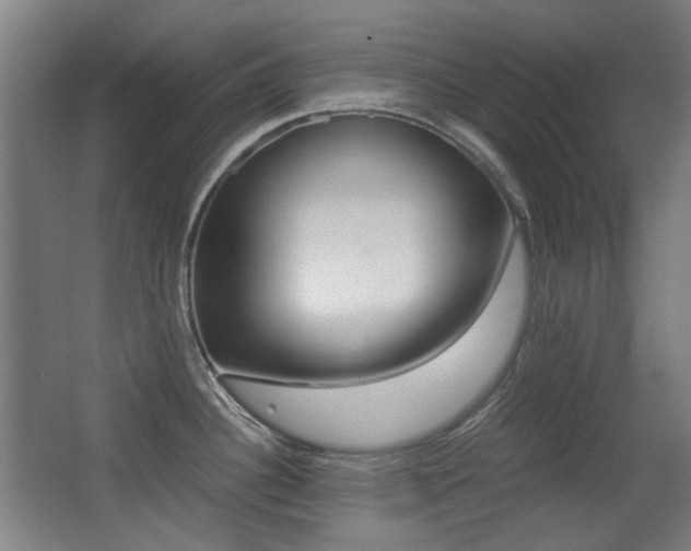 X0000062931340200601131104