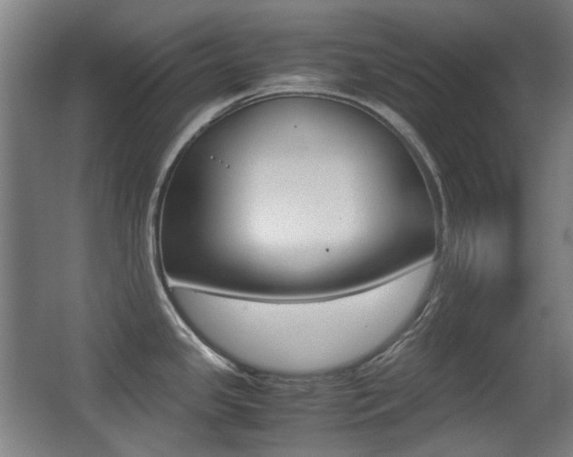 X0000062931341200601131104