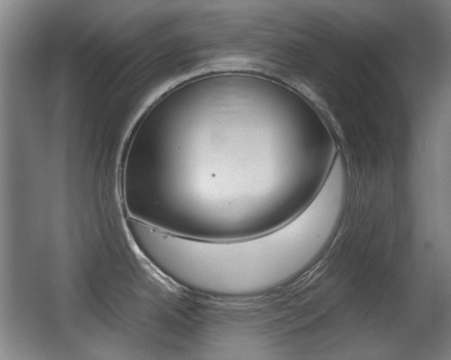 X0000062931342200601131104