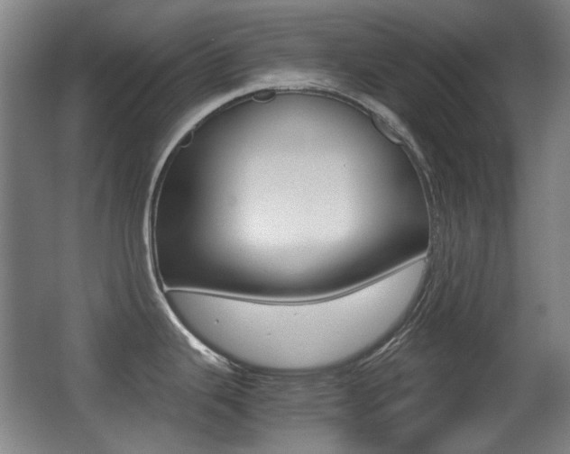 X0000062931343200601131104