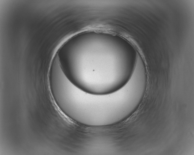 X0000062931344200601131104