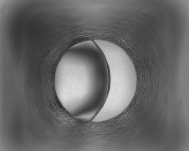 X0000062931345200601131103
