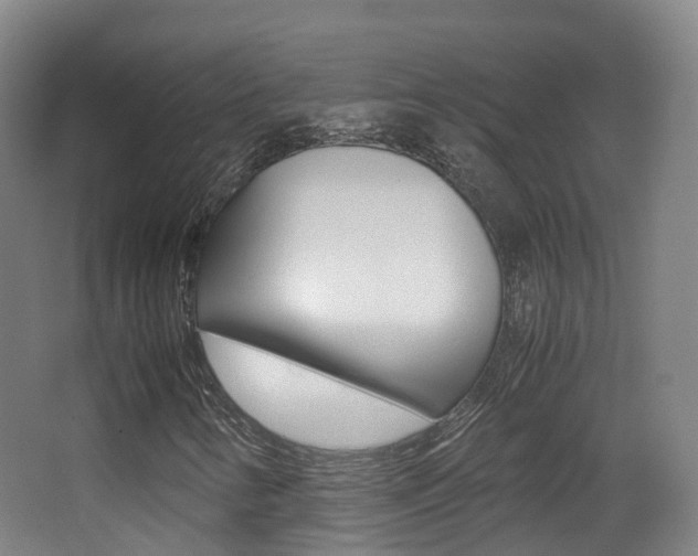 X0000062931346200601131103