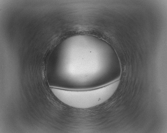 X0000062931348200601131103