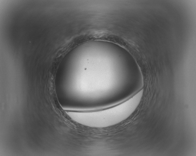 X0000062931349200601131103