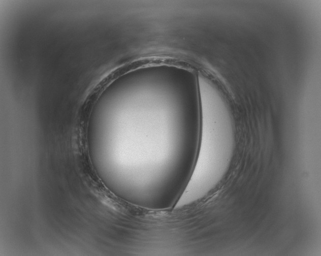 X0000062931352200601131103