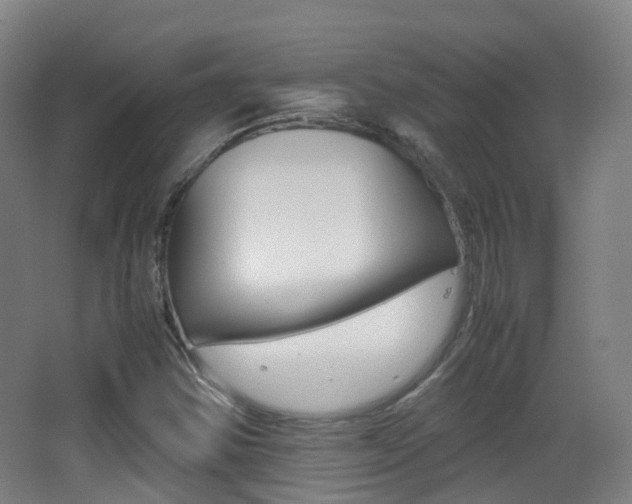 X0000062931354200601131103