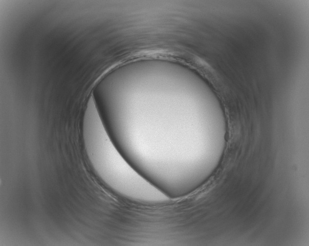 X0000062931361200601131103
