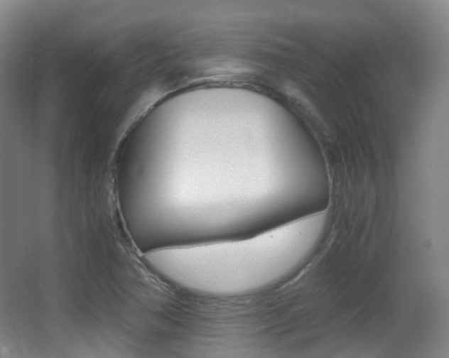 X0000062931362200601131103