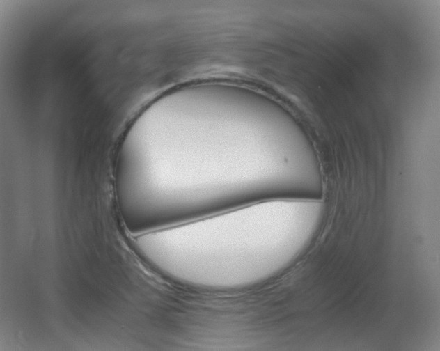 X0000062931363200601131103