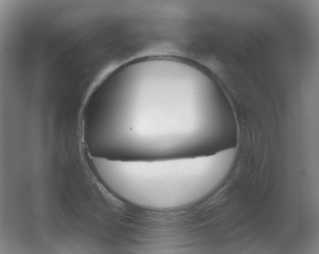 X0000062931366200601131103