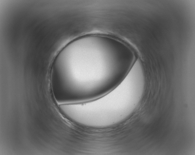 X0000062931367200601131103