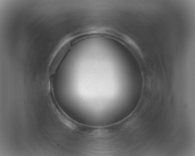 X0000062931368200601131103