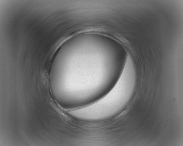 X0000062931369200601131103