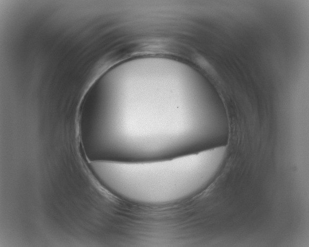 X0000062931370200601131103