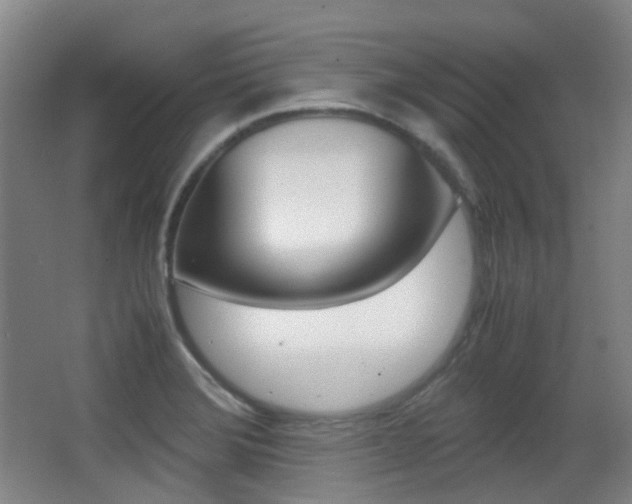 X0000062931372200601131103