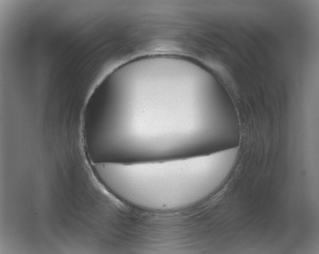 X0000062931374200601131103