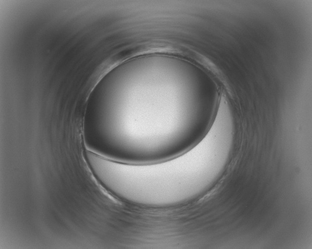 X0000062931377200601131103