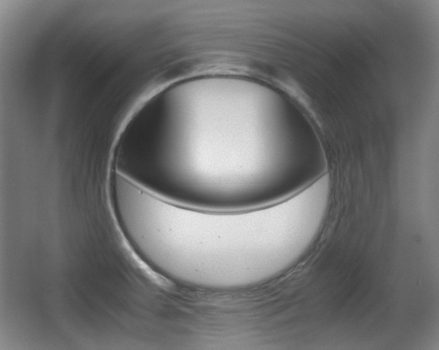 X0000062931379200601131103