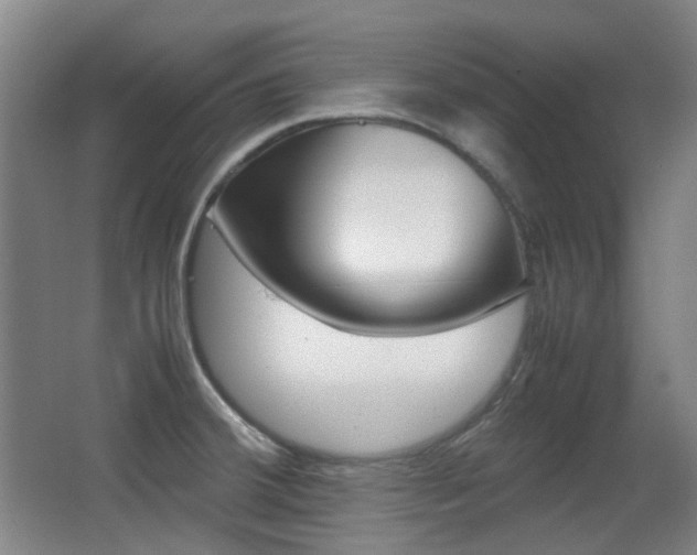 X0000062931380200601131103