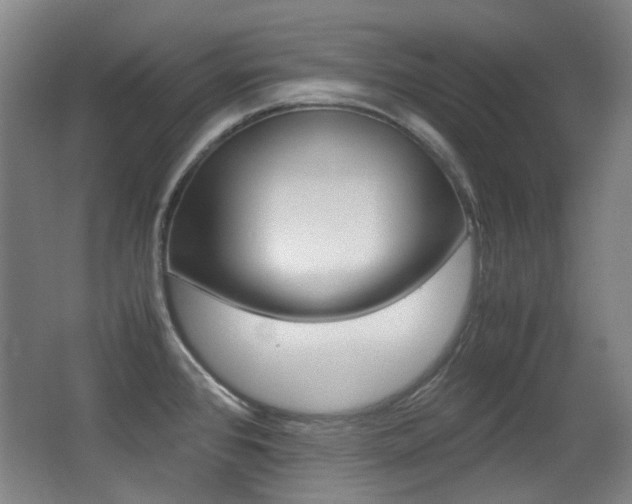 X0000062931384200601131102