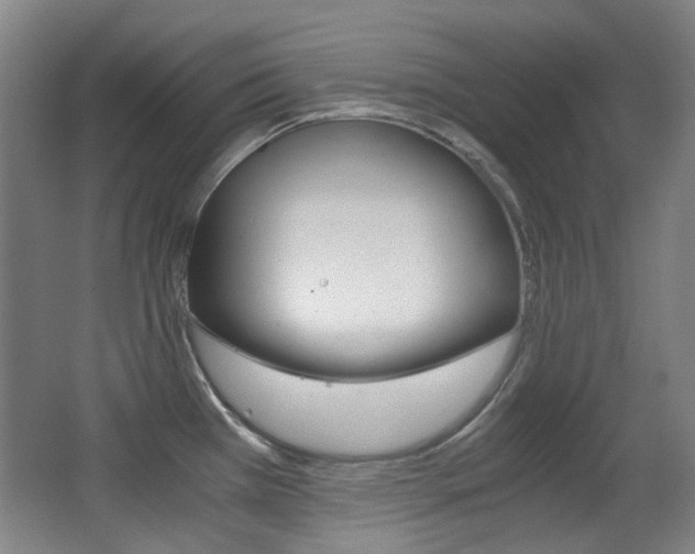 X0000062931385200601131102