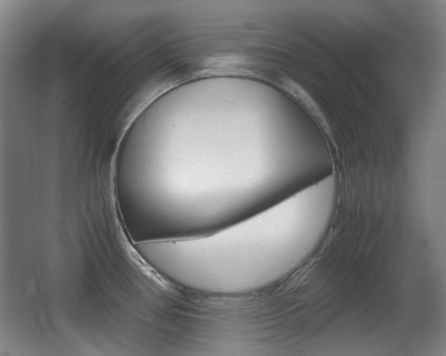X0000062931386200601131102