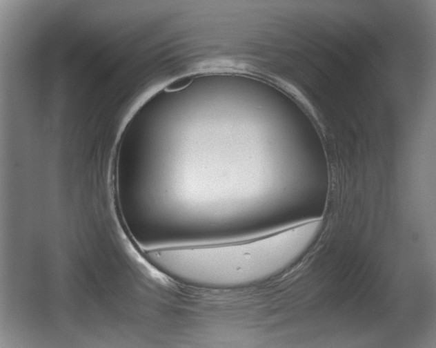 X0000062931387200601131102