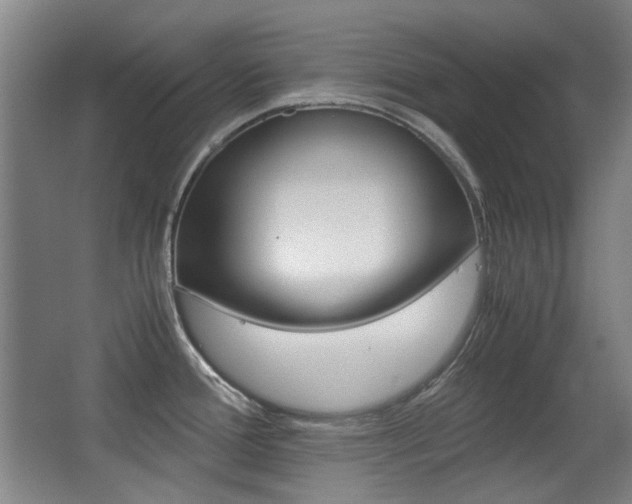X0000062931388200601131102