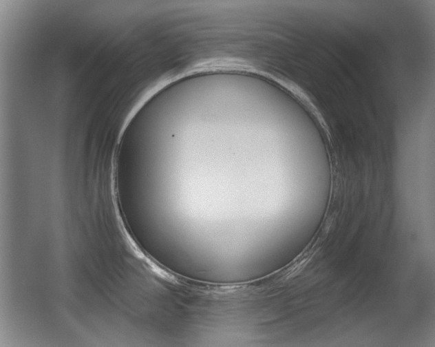 X0000062931390200601131102